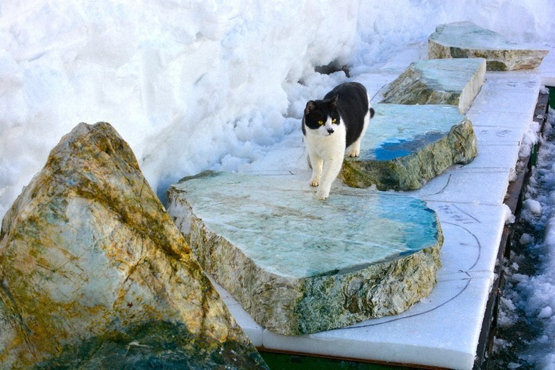 輝くヒスイ、万博迎賓館へ 最後の磨き作業で魅力UP 糸魚川 ／新潟