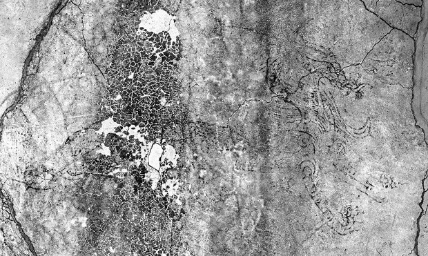 国宝キトラ古墳の「青龍」、赤外線でくっきり 泥の下、鮮明な輪郭線