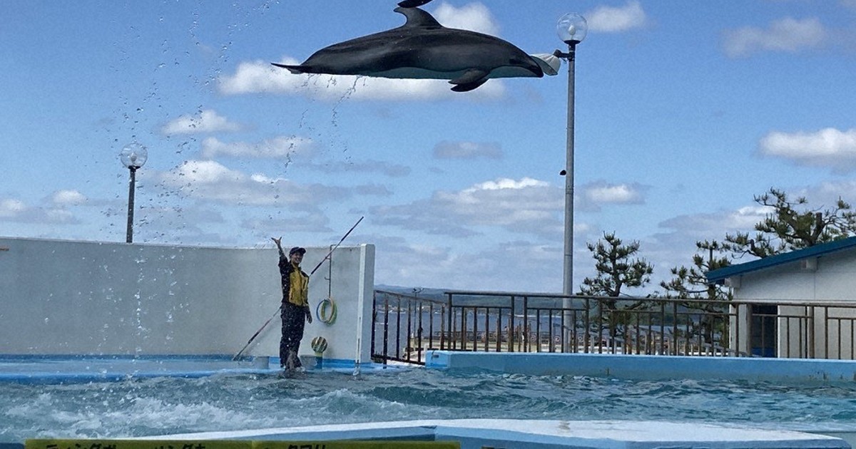 月とイルカさん 専用ページ TSCテレビせとうち on X