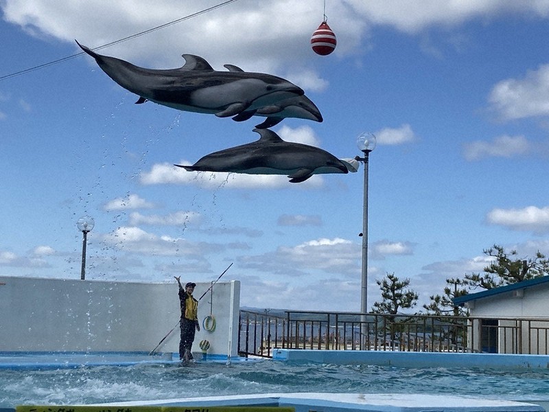 わたしのふるさと便：イチオシマップ 石川県 七尾市「のとじま水族館