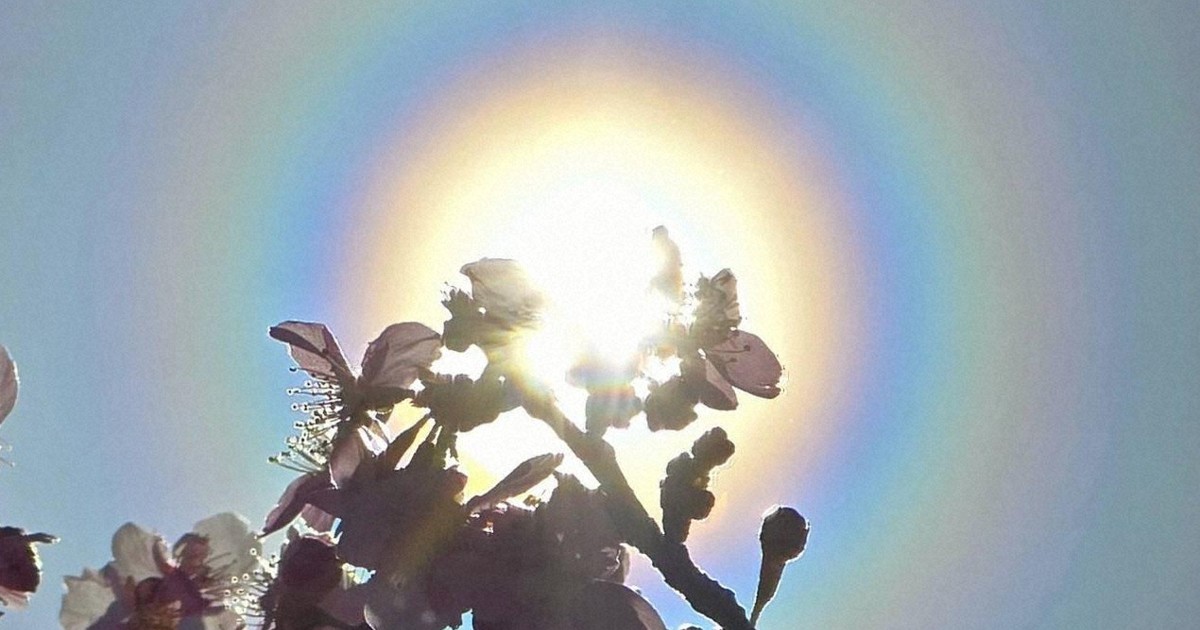 太陽の周りに虹色の輪 「魔のサークル」出現 花粉本格飛散のサイン