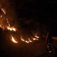 大船渡市赤崎町合足の急傾斜地に燃え広がる山林火災の炎＝福島市消防本部提供