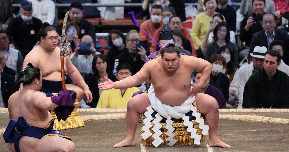 t*e様 横綱 豊昇龍 フィギュア 番付表付き t*e様 横綱 豊昇龍 フィギュア 番付表付き - メルカリ