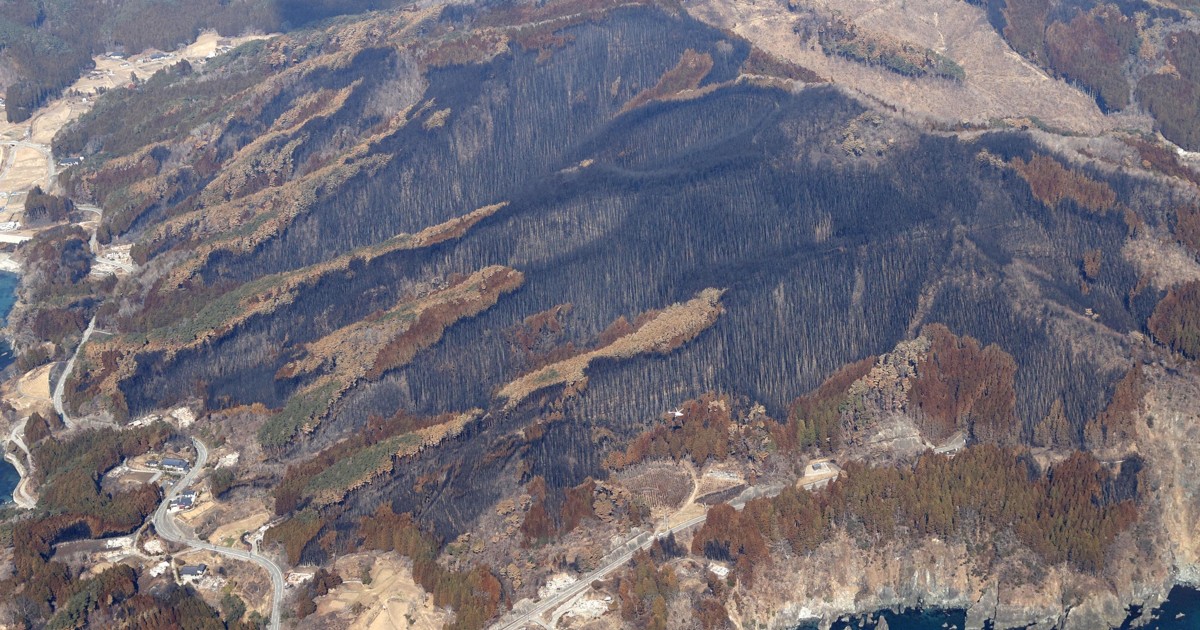 大船渡市の面積「9％」焼失 山林火災鎮圧、避難指示は全面解除 | 毎日新聞