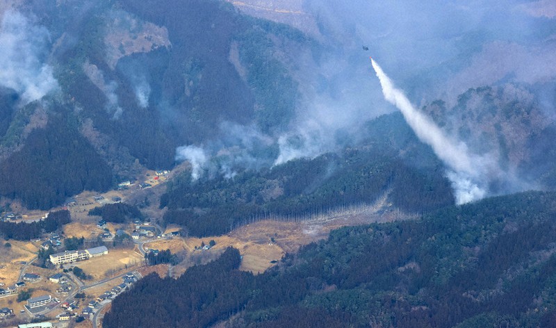 15歳のニュース 岩手・大船渡の山林火災 1週間以上延焼、被害拡大