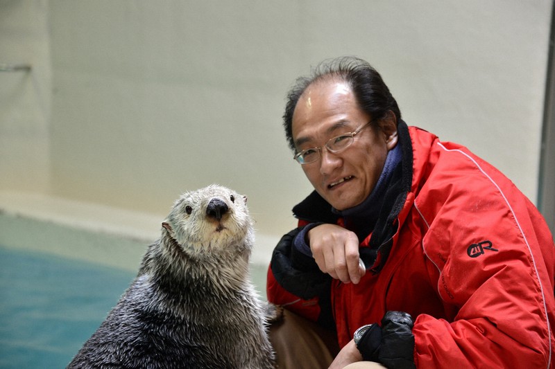 鳥羽水族館 ラッコ レア☆お宝☆鳥羽水族館限定☆ラッコ☆メイとキラ