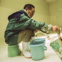 ラッコにエサを与える中村幸昭さん＝鳥羽水族館提供