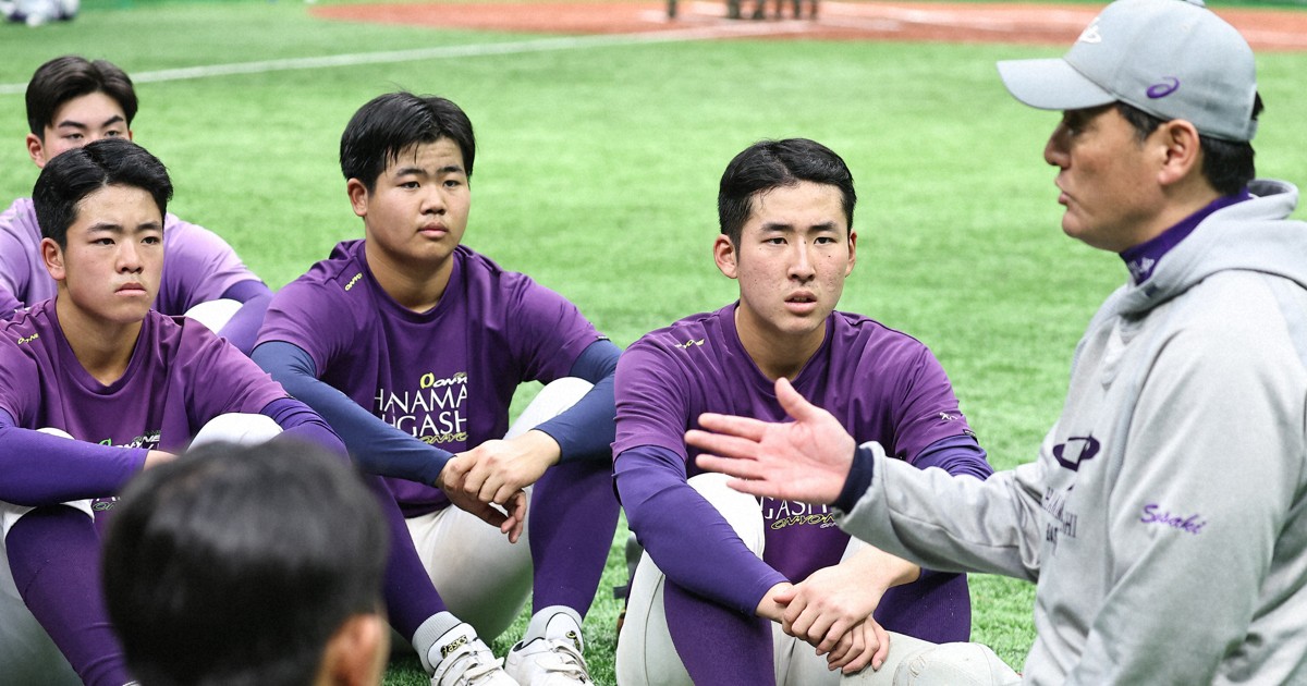 花巻東高校 野球部 ユニホーム TEAM ウェア L位 デサント 花巻東高校 野球部 ユニホーム TEAM ウェア L位 デサント