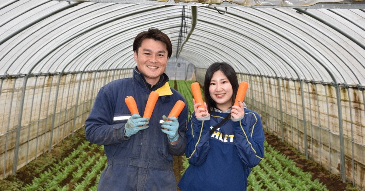 ちばプレ：ニンジンの持つ甘さ、生き生き ドレッシングを10人に 富里の