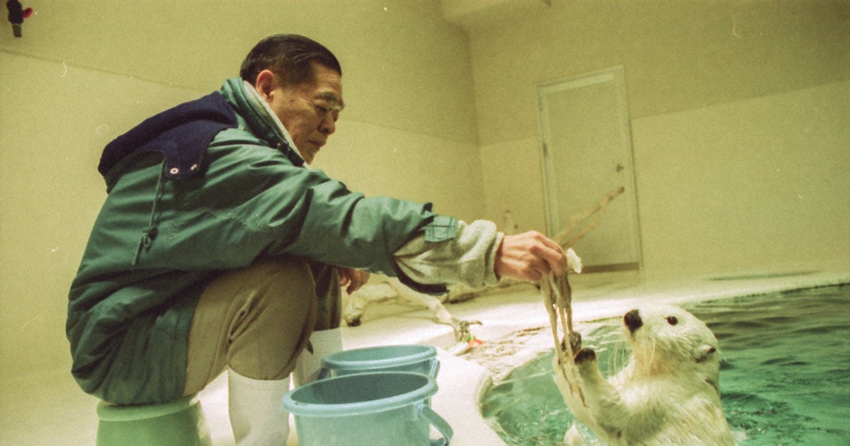 ラッコ館長の「夢とロマン」：鳥羽水族館70年の軌跡／上 写真見て