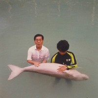 フィリピンで服を着たまま海に入ってセレナとふれあう中村幸昭さん（左）＝家族提供