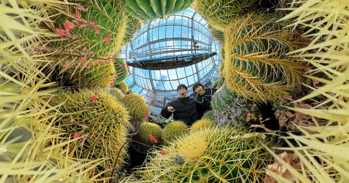 View＋：1000種2万株の個性 豊中・山城愛仙園 サボテン・多肉植物