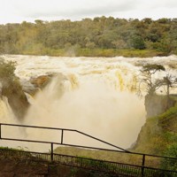 マーチソン・フォールズ国立公園のマーチソン滝。近づくと幅7メートル、高低差43メートルの大滝の水しぶきを全身で受ける＝ウガンダで2024年11月12日、滝川大貴撮影