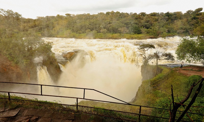 マーチソン・フォールズ国立公園のマーチソン滝。近づくと幅7メートル、高低差43メートルの大滝の水しぶきを全身で受ける＝ウガンダで2024年11月12日、滝川大貴撮影