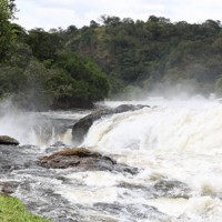 マーチソン・フォールズ国立公園のマーチソン滝。近づくと幅7メートル、高低差43メートルの大滝の水しぶきを全身で受ける＝ウガンダで2024年11月12日、滝川大貴撮影