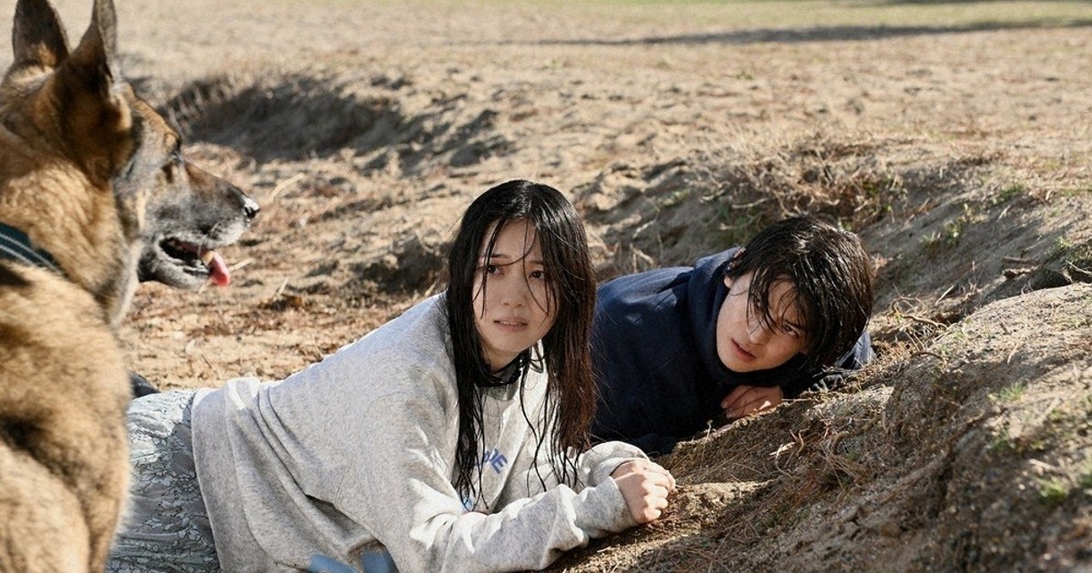 MAINICHI芸術食堂：映画「少年と犬」 はぐれ犬、心の支えに