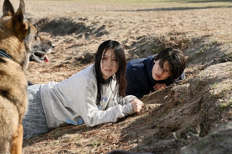 MAINICHI芸術食堂：映画「少年と犬」 はぐれ犬、心の支えに