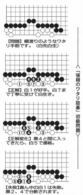 囲碁・将棋スペシャル：囲碁 張栩九段 「ワタリ詰碁」出版 詰め碁を
