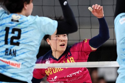 グレベア　柳田将洋直筆サイン入り名刺他 バレーボール 柳田将洋 直筆 サイン - メルカリ
