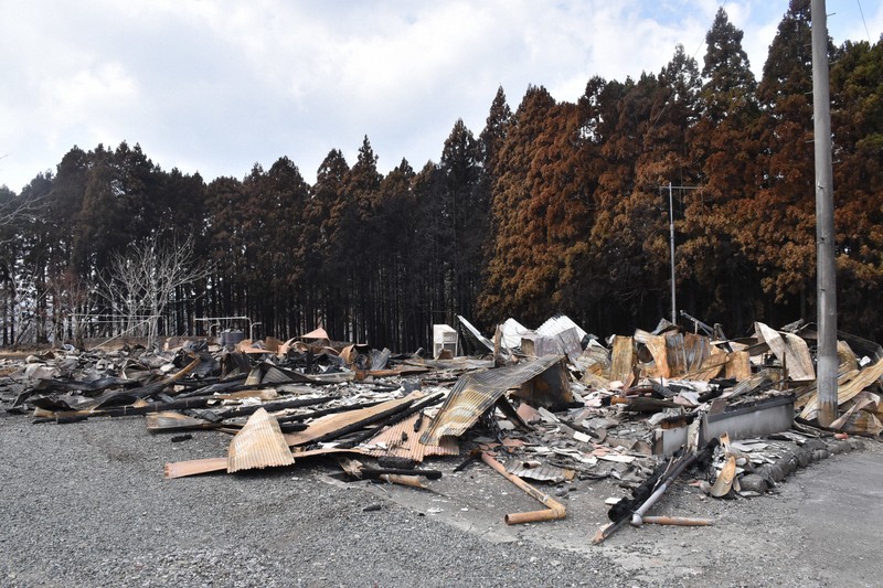 ワカメ漁師「ロープ1本もない」 山林火災の延焼被害、再建に不安