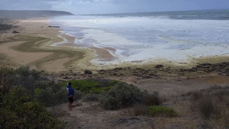 豪州ビーチに謎の泡 サーファーら100人超が体調不良 魚の死骸も | 毎日新聞