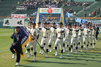 1995年　センバツ　佐久長聖　ペナント　甲子園　高校野球 1995年 センバツ 佐久長聖 ペナント 甲子園 高校野球 - メルカリ