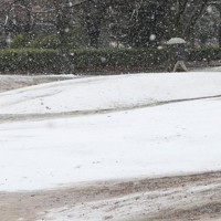 都内で雪 北日本から西日本に暴風雪の恐れ ［写真特集1/13］ | 毎日新聞