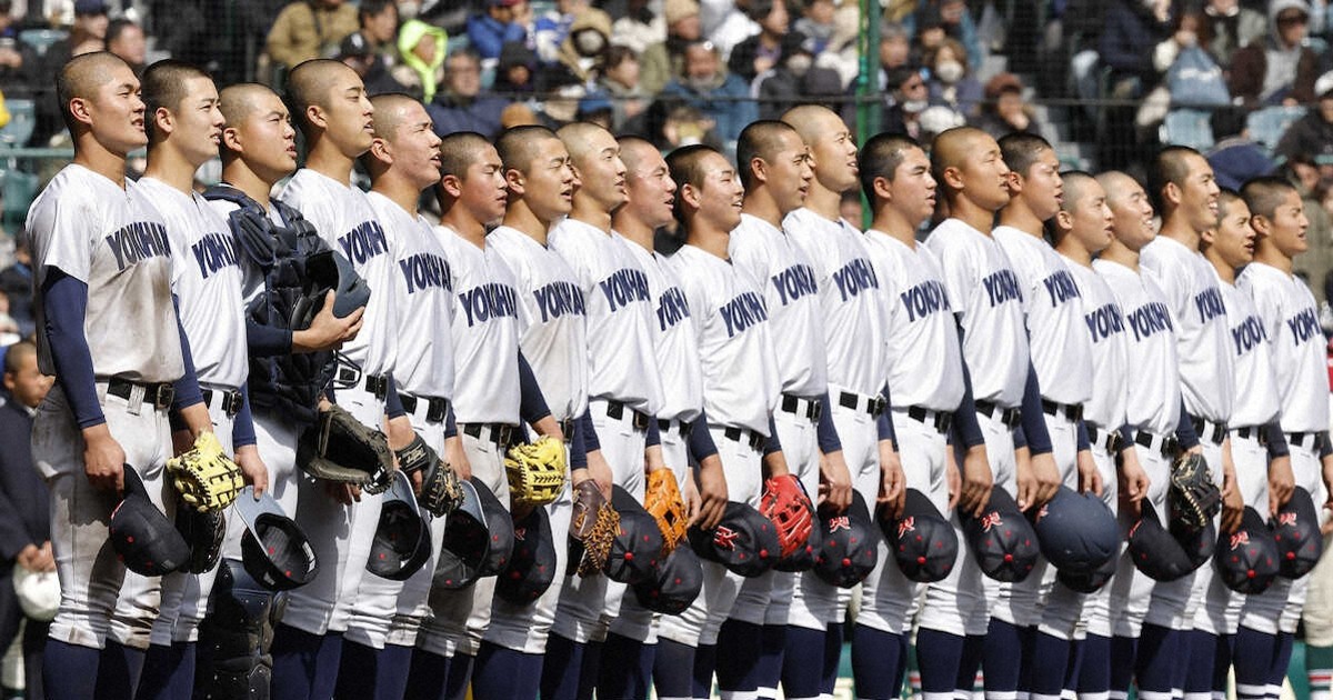 高校野球　横浜高校　選抜優勝校　応援扇子　校歌入り　一点のみ　新品 高校野球 横浜高校 選抜優勝校 応援扇子 校歌入り 一点のみ 新品