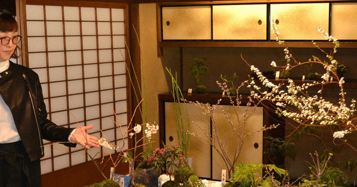 春を感じる「苔玉アート」 旧安川邸で作品100点展示 戸畑 ／福岡