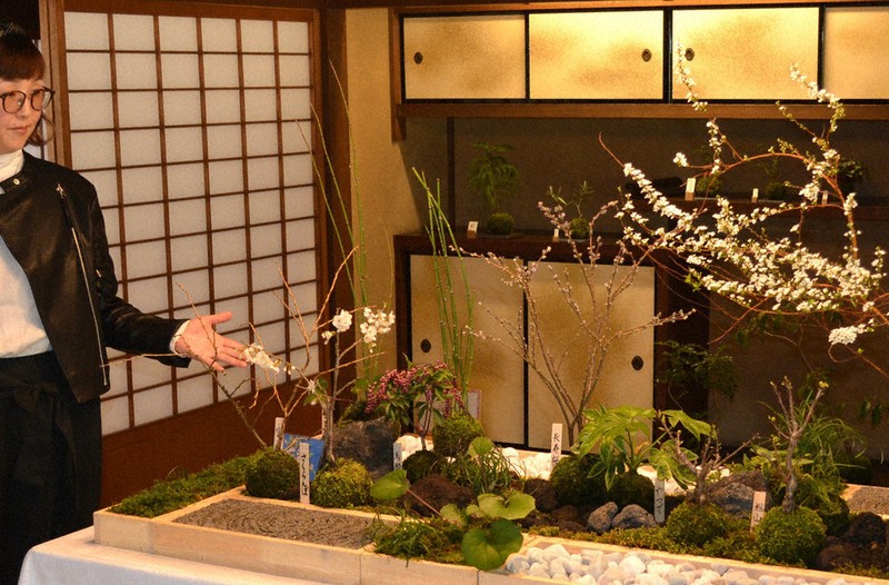 春を感じる「苔玉アート」 旧安川邸で作品100点展示 戸畑 ／福岡