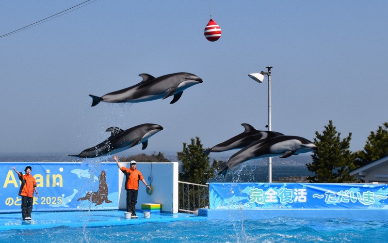 月とイルカさん 専用ページ イルカもアシカも祝福 能登地震で被災「のとじま水族館」が完全復活