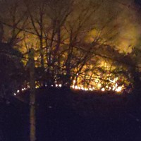 愛媛県今治市の山火事では、夜になっても炎が上がる様子が見えた＝同市長沢の道の駅「今治湯ノ浦温泉」で2025年3月23日午後8時10分、松倉展人撮影