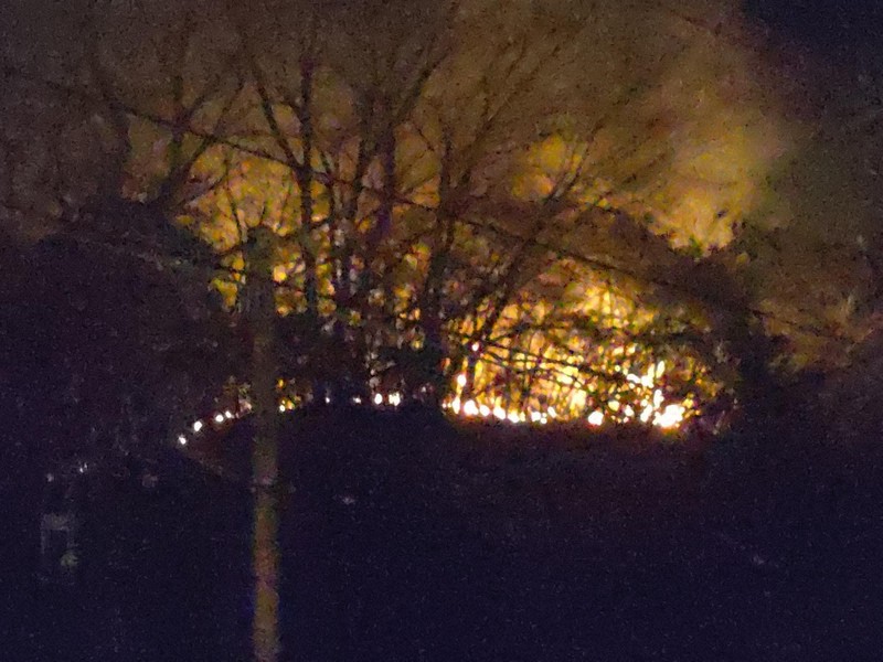 愛媛県今治市の山火事では、夜になっても炎が上がる様子が見えた＝同市長沢の道の駅「今治湯ノ浦温泉」で2025年3月23日午後8時10分、松倉展人撮影