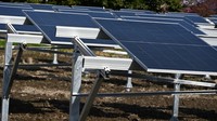 農地に太陽光パネルを置き、農業と発電を両立させる「ソーラーシェアリング（営農型太陽光発電）」＝神奈川県開成町で2025年3月7日、川口雅浩撮影