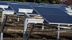 農地に太陽光パネルを置き、農業と発電を両立させる「ソーラーシェアリング（営農型太陽光発電）」＝神奈川県開成町で2025年3月7日、川口雅浩撮影