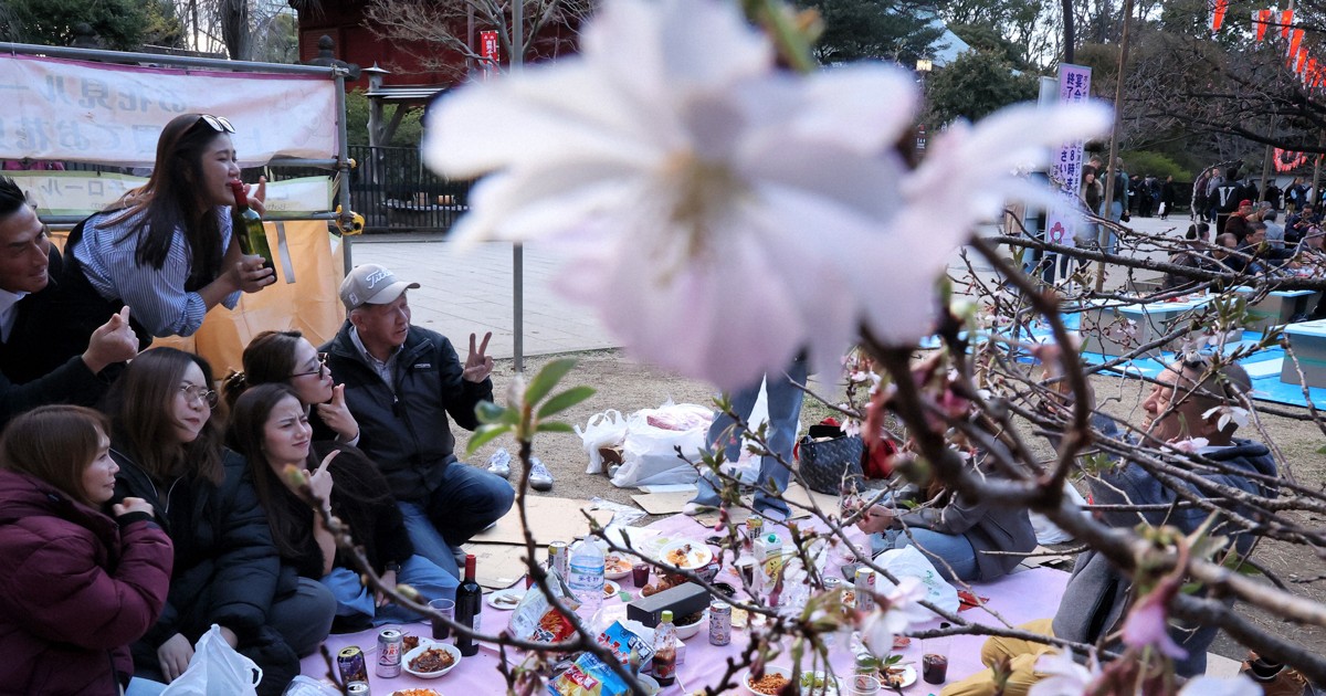 75% of Japan prefectures boosting programs for coexistence with foreigners