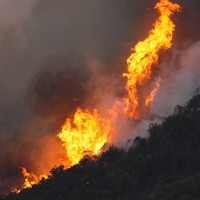激しく燃える、岡山県内の山林火災現場＝岡山市南区と玉野市の境界付近で2025年3月25日午後5時57分、本社ヘリから