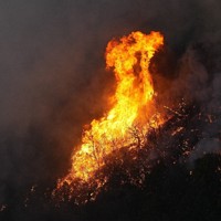 道路のそばで激しく燃える山林火災現場＝岡山市南区と玉野市の境界付近で2025年3月25日午後6時8分、本社ヘリから