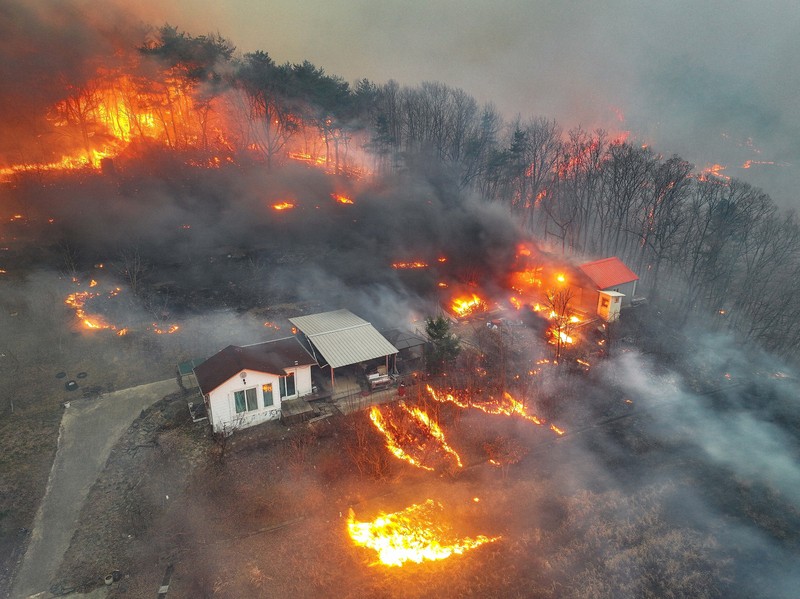 韓国の山火事1週間、28人死亡 専門家「気候変動が影響」 | 毎日新聞