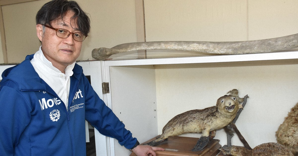 【貴重】カモの剥製　対　入手困難 襲われツノが足に当たりカモシカが市の中心部に出没 70代女性が足に