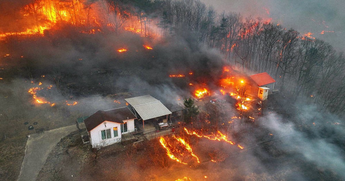 韓国：韓国山火事 被害最悪 発生1週間 死者28人に 高い気温→空気乾燥