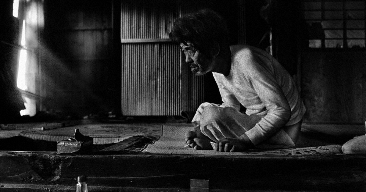 薬師寺　写真　土門拳　毎日新聞社 薬師寺 写真 土門拳 毎日新聞社 薬師寺 写真 土門拳 1971年発行