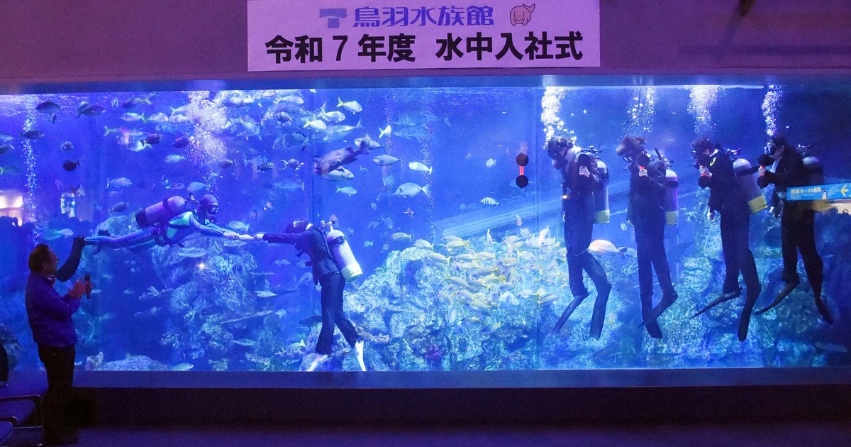 魚たち3000匹が門出祝う 三重・鳥羽水族館で「水中入社式」 | 毎日新聞