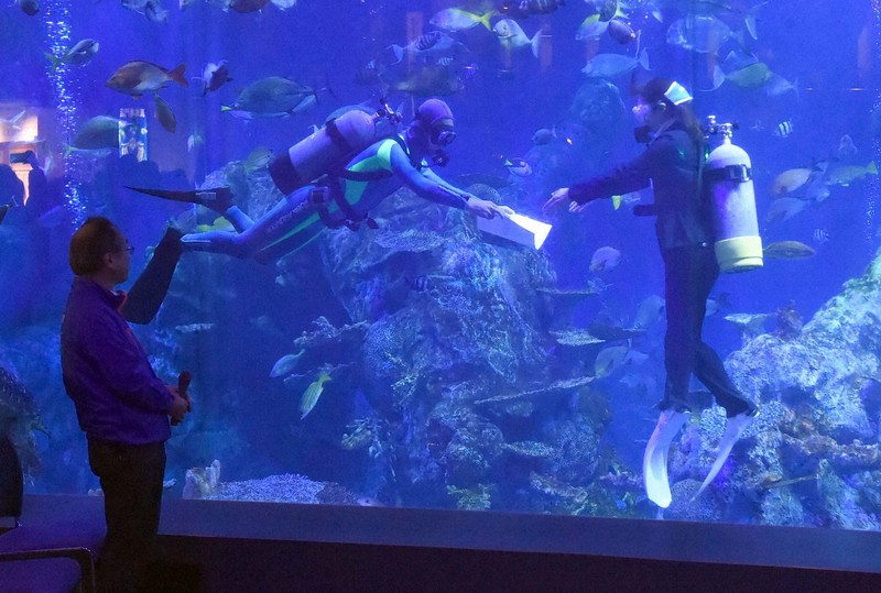魚たち3000匹が門出祝う 三重・鳥羽水族館で「水中入社式」 [写真特集2