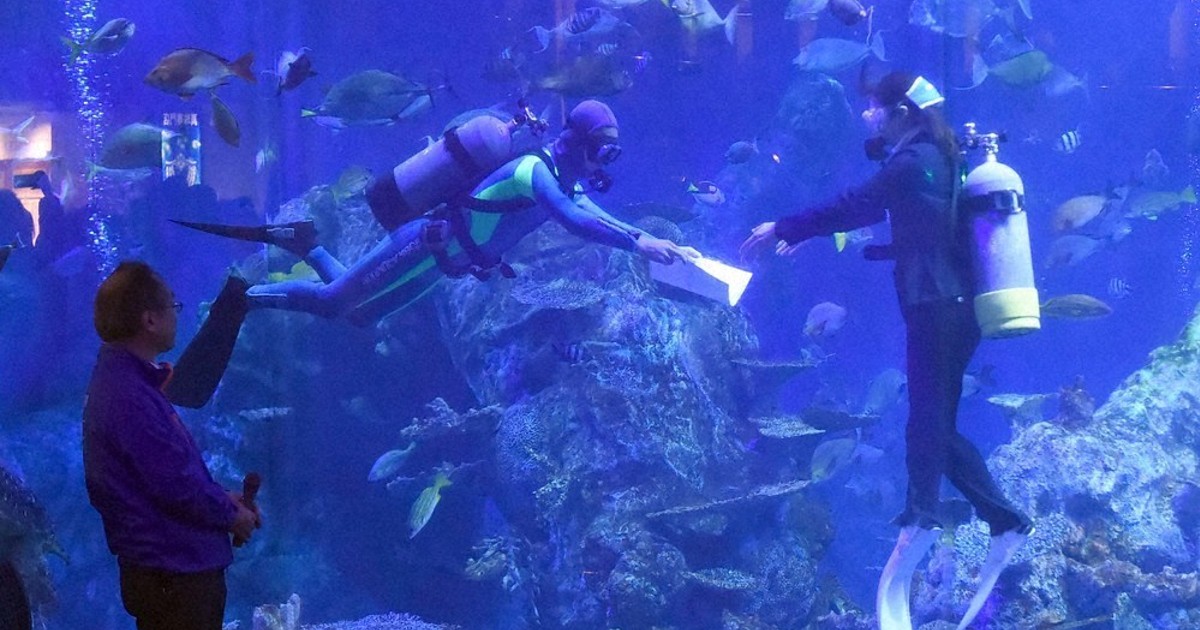 生き物との懸け橋に」 鳥羽水族館・水中入社式 ／三重 | 毎日新聞