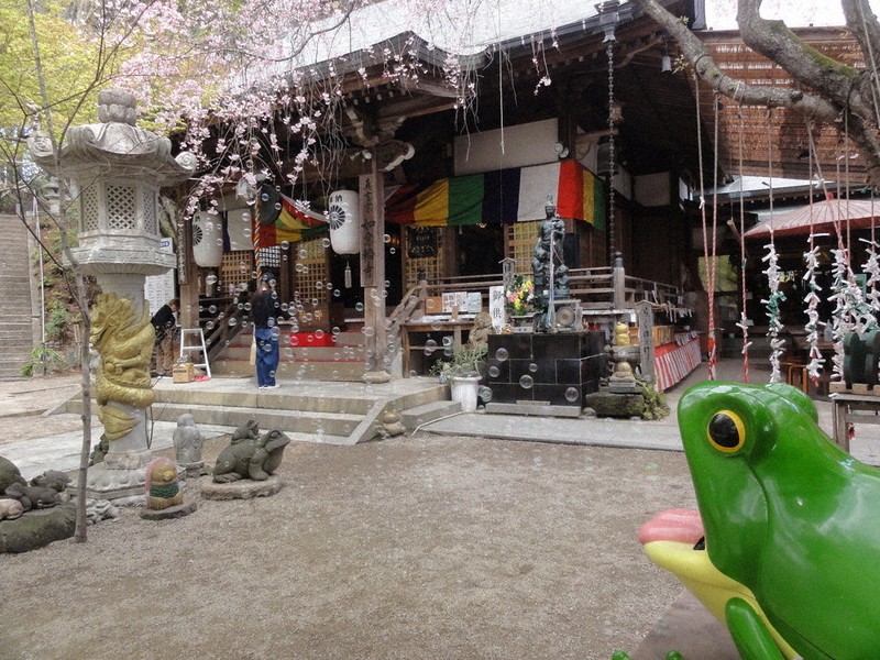 出かけて 春 味わって 「かえる寺」本尊の秘仏 6日ご開帳 小郡・如意輪