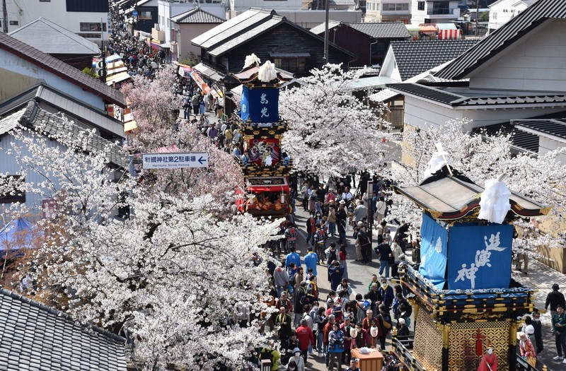 犬山祭」始まる 満開の桜咲く中、豪華な車山集結 無形文化遺産 [写真