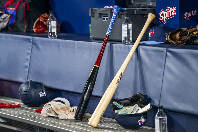 大リーグで話題独占の「魚雷バット」 生みの親は球団所属の物理学者