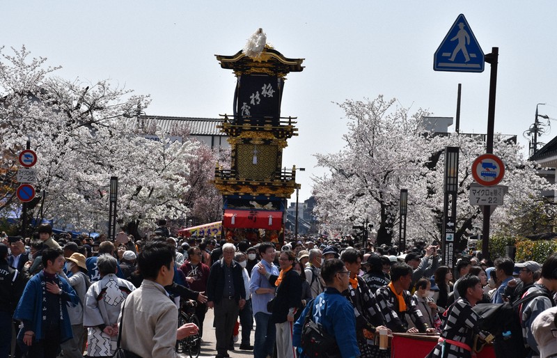 犬山祭」始まる 満開の桜咲く中、豪華な車山集結 無形文化遺産 [写真