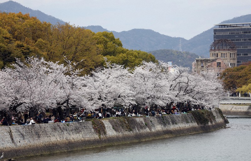 桜満開、花見客でにぎわう平和記念公園 [写真特集1/11] | 毎日新聞